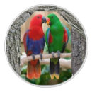 Recherche de perroquets boutons et poignées de porte Pour tous