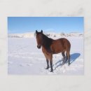 Recherche de chevaux de noël cartes postales Neige