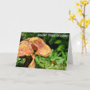 Zoek naar pool verjaardagskaarten Gelukkige verjaardag