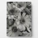 Recherche de yeux plaques Fleurs