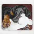 Recherche de dobermann tapis souris Animal