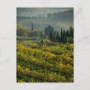 Recherche de viticulture cartes postales Voyage