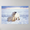 Recherche de 1002 posters Alaska