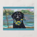 Recherche de labrador retriever noir cartes postales Labradors