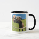 Recherche de oeil de cheval tasses Dehors