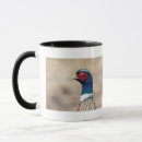 Recherche de plumage tasses Animal