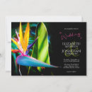 Recherche de oiseaux tropicaux invitations Pour elle