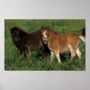 Recherche de foies posters Équestre