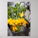 Zoek naar fiets mand kunst Bloemen