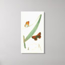 Recherche de flottement art Papillons