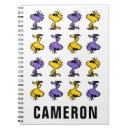 Recherche de lunettes de soleil carnets Bois