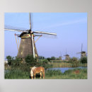 Recherche de bibikow de walter art Photographie