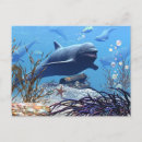 Recherche de coffre cartes postales Trésor