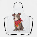 Recherche de pitbulls tabliers Pug