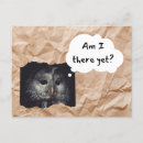 Zoek naar vogel humor briefkaarten Grappig