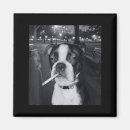 Recherche de chien drôle magnets Mème