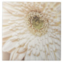 Recherche de pétales de fleur carreaux Céramique