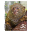 Recherche de primates carnets Faune