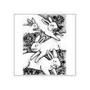Recherche de timbre de lapin Blanc