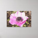 Zoek naar anemoon kunst Roze