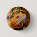Recherche de gecko badges Faune