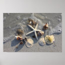 Recherche de marée basse posters Surf