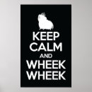 Zoek naar wheek Cavy