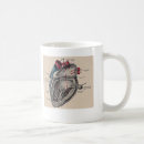 Recherche de coeur humain Anatomie