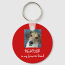 Recherche de beagle porteclés Chiot