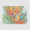 Recherche de paradis cadeau emballages Floral