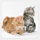 Recherche de esprit nature autocollants Animal