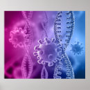 Recherche de cellule posters Éducation