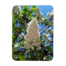 Recherche de arbre magnets Fleurs