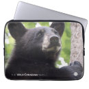 Recherche de doc s coques The wild canadian year