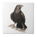 Recherche de faune carreaux Nature