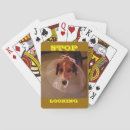 Recherche de regard jeux de cartes Pour tous