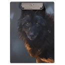 Recherche de loup porte blocs Animal