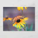 Recherche de fritillaire cartes postales Floral