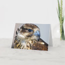 Recherche de modèle de profil vœux cartes Nature