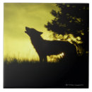 Recherche de silhouette carreaux Faune