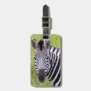 Recherche de equus Herbe