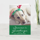 Recherche de image labrador vœux cartes Vertical