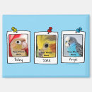 Recherche de oiseaux refrigérateur magnets Amoureux des oiseaux