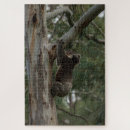 Recherche de koala puzzles Australie