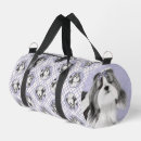 Recherche de de tzu de shih sacs Chien