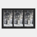 Recherche de wolf pack autocollants Loup gris