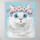 Recherche de chat assez blanc Chaton