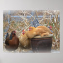 Zoek naar grappig boerderij posters Land