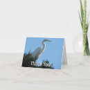 Recherche de observation des oiseaux vœux cartes Photographie