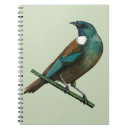 Recherche de chant carnets Oiseau chanteur
